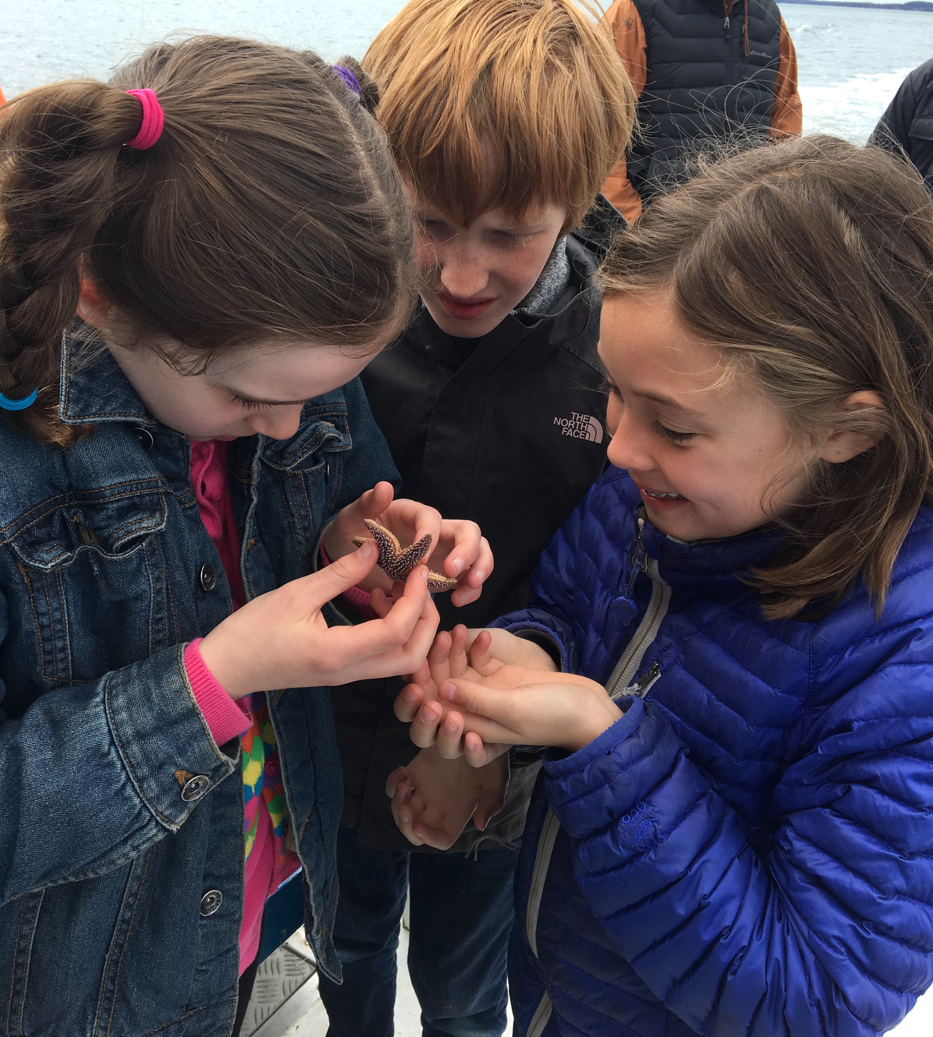 Class 4-5 Field Trip to Cobscook Bay